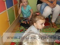 DSCF4994