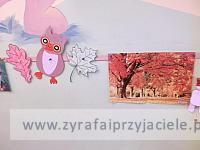 DSCF5428