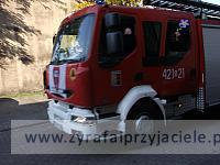 DSCF2992