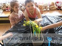 DSCF0764