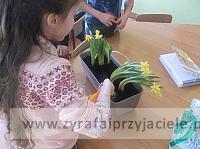 DSCF0766