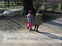IMG 0448