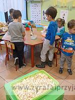 DSCF7001