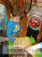 DSCF7017