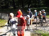 DSCF8629