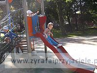 DSCF8641