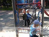 DSCF8646