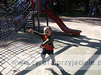 DSCF8649