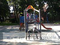 DSCF8652