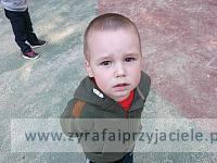 DSCF8662