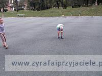 DSCF5833