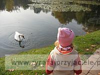 IMG 3718
