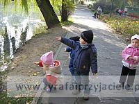 IMG 3732