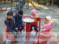 IMG 3759