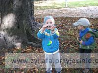DSCF9294