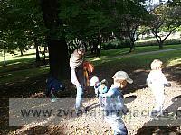 DSCF9307