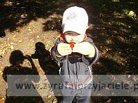 DSCF9313