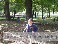 DSCF9317