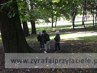 DSCF9340