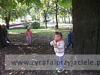 DSCF9341