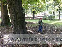 DSCF9342