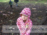DSCF9343