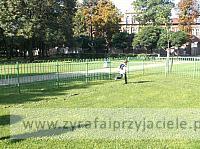 DSCF1741
