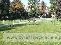 DSCF1742