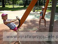 DSCF7599