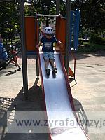 DSCF7606