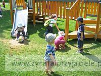 IMG 6897