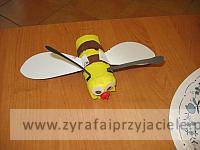 IMG 4964