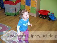 IMG 5011