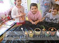 DSCF0663