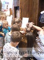 DSCF5185