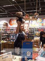 DSCF5231