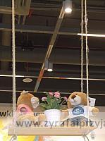 DSCF5239