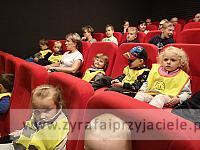IMG 20190716 100328
