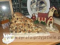DSCF0928
