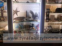 DSCF0962