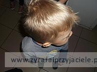 DSCF8856