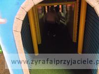 DSCF9897