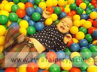 DSCF9952