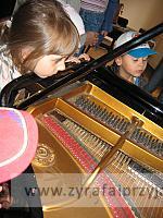IMG 1591