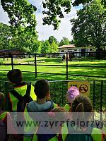 IMG 20190531 091750