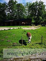 IMG 20190531 091902