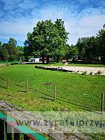 IMG 20190531 091904
