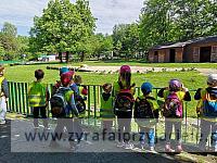 IMG 20190531 091915