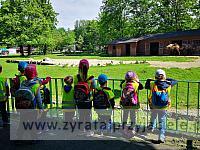 IMG 20190531 091917