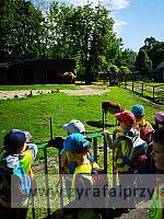 IMG 20190531 092003